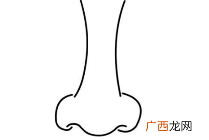 QQ画图红包鼻子的简笔画_鼻子如何画正确