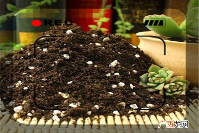 厂里拿货开小加工厂,有没有投资小加工厂