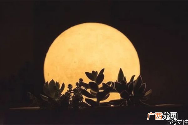 男人轻浮的表现有哪些轻浮男人的特征