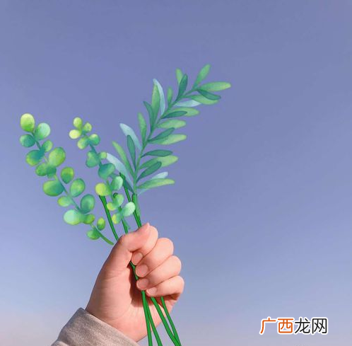 美图秀秀手握花教程 手握鲜花怎么画