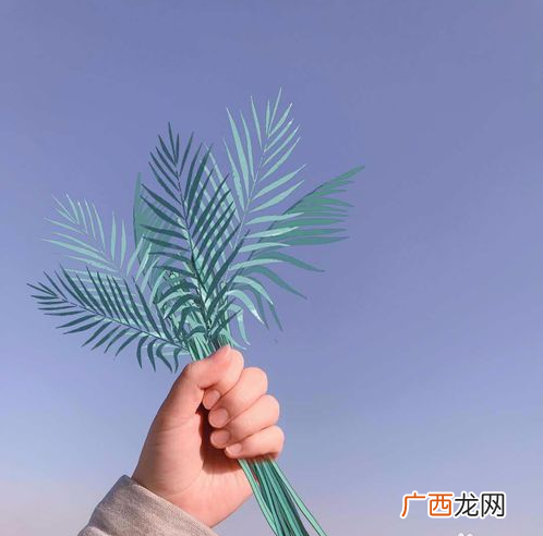 美图秀秀手握花教程 手握鲜花怎么画
