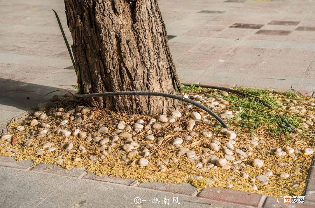 带你全面认识迪拜 迪拜哪个国家的城市