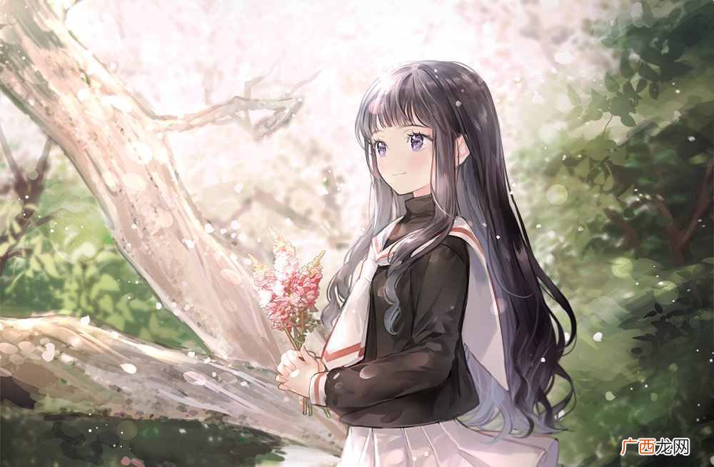 里番和表番是什么意思(2者概念和区别介绍）