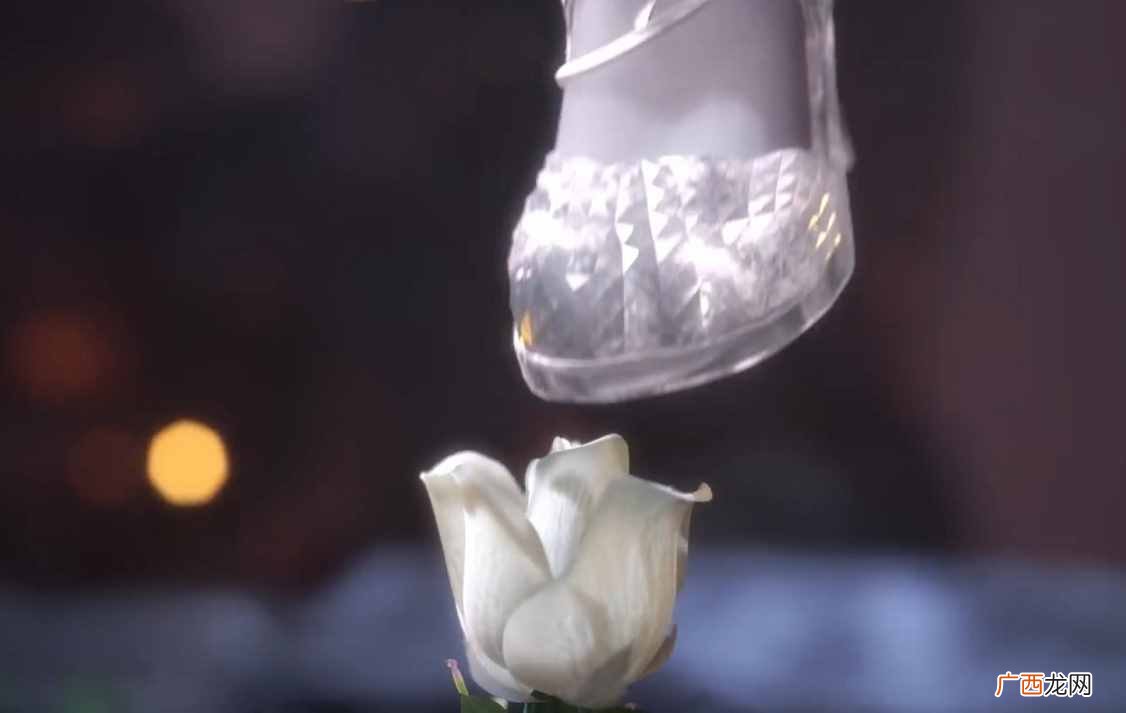 爆料白玫瑰花语寓意 白玫瑰花语是什么意思