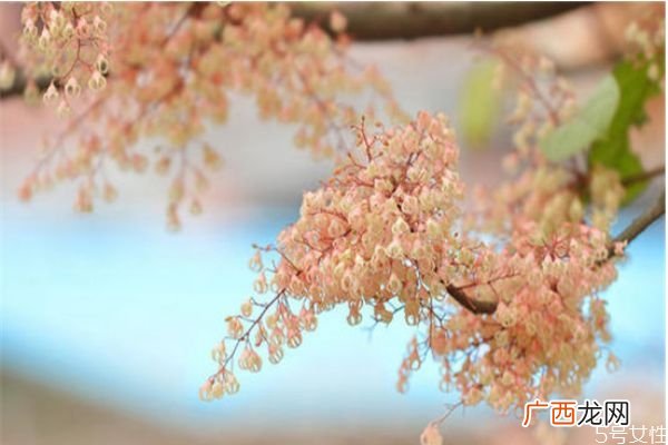 单身时间长了会有哪些表现单身太久的五大症状