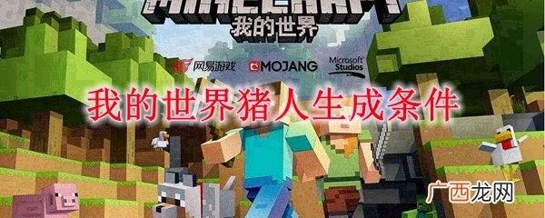 我的世界猪人生成条件