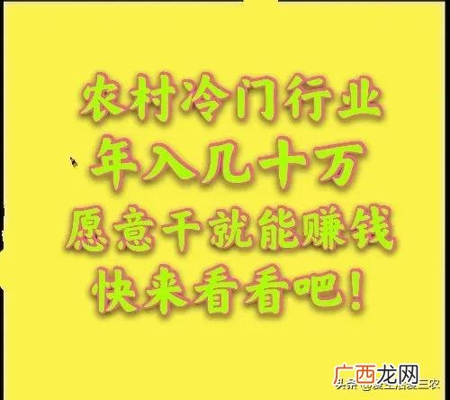 农村适合干点什么生意,农村做什么创业投资小利润大