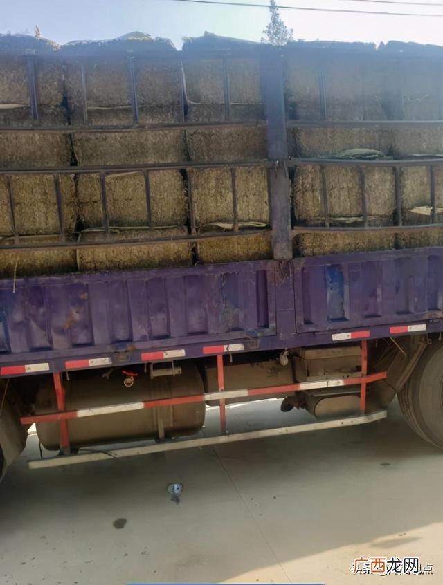 大量收购干艾叶艾草 南阳艾草批发大市场