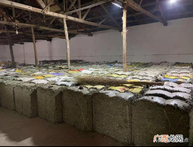 大量收购干艾叶艾草 南阳艾草批发大市场