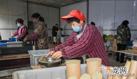 大量收购干艾叶艾草 南阳艾草批发大市场