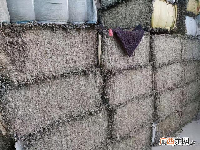 大量收购干艾叶艾草 南阳艾草批发大市场