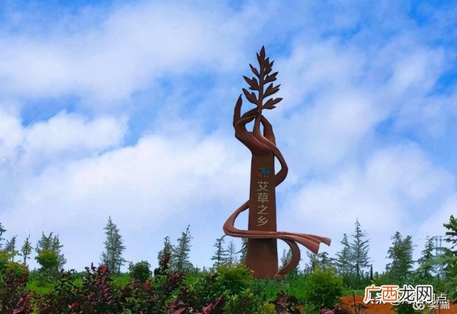 大量收购干艾叶艾草 南阳艾草批发大市场