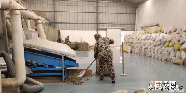 大量收购干艾叶艾草 南阳艾草批发大市场