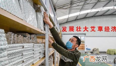 大量收购干艾叶艾草 南阳艾草批发大市场