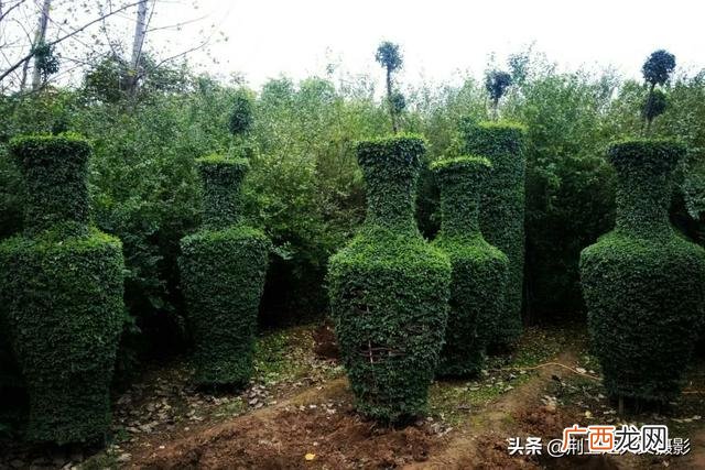 适合在公园里卖的小生意,景区做什么小生意比较赚钱