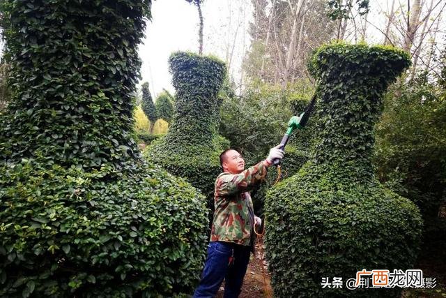 适合在公园里卖的小生意,景区做什么小生意比较赚钱