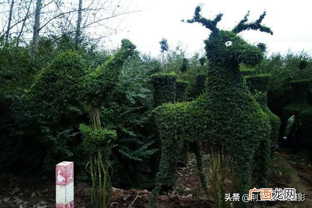 适合在公园里卖的小生意,景区做什么小生意比较赚钱
