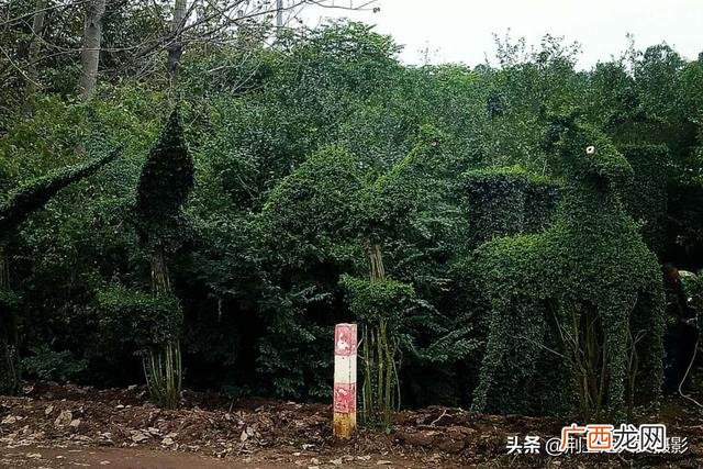 适合在公园里卖的小生意,景区做什么小生意比较赚钱