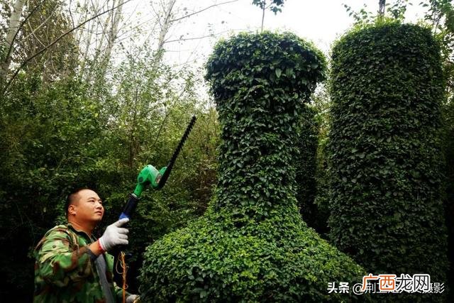 适合在公园里卖的小生意,景区做什么小生意比较赚钱