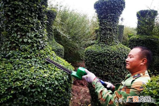 适合在公园里卖的小生意,景区做什么小生意比较赚钱