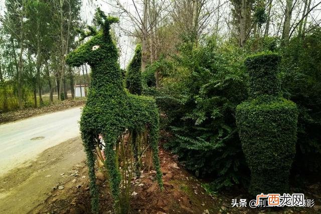 适合在公园里卖的小生意,景区做什么小生意比较赚钱