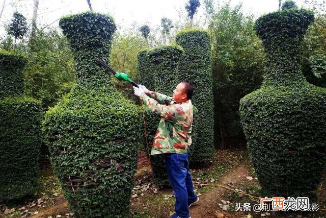适合在公园里卖的小生意,景区做什么小生意比较赚钱