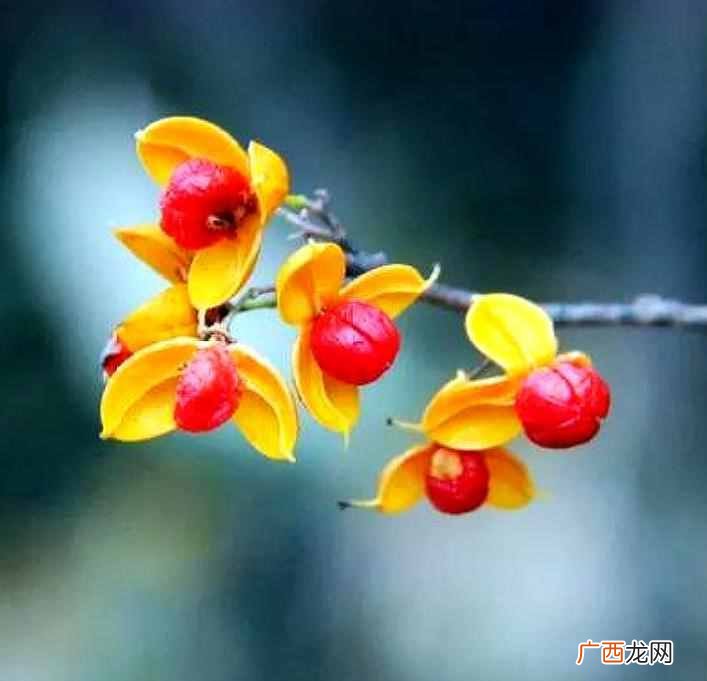 至理名言的真实含义 志不同道不合不相为谋的意思