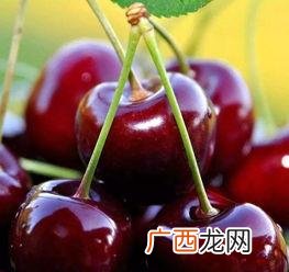 洗衣液自动售卖机价格 做洗衣液的机器设备多少钱