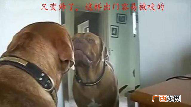 另类新浪博客发帖推广方式（目前来讲效果非常