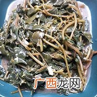 凉拌马蜂菜又名蚂蚁菜