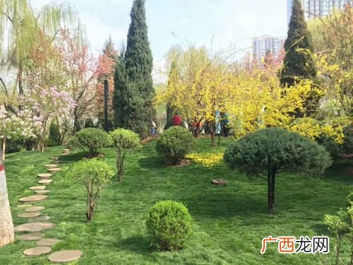 太原市园林建筑设计研究院 太原有园林公司吗