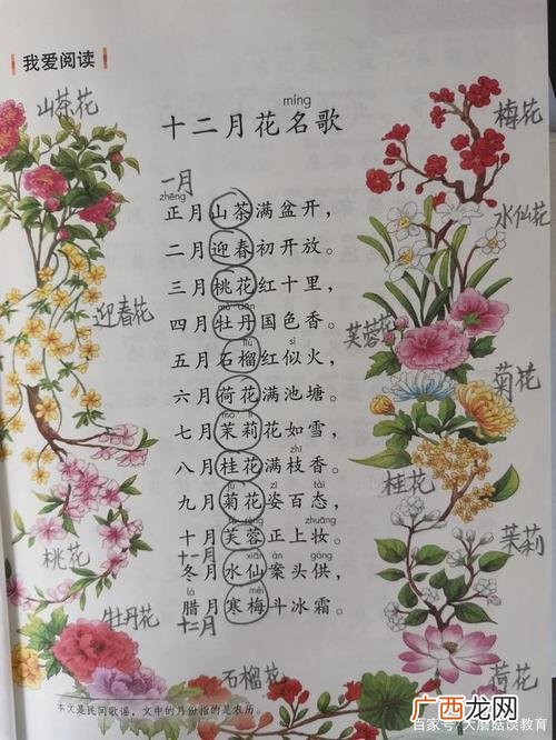 园林景观植物配置表 园林植物花期表