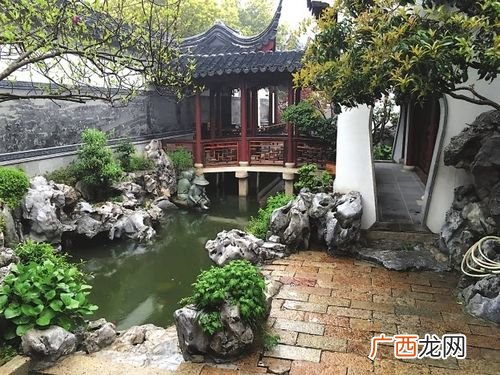 雪松图片 关于现代社会园林的图片