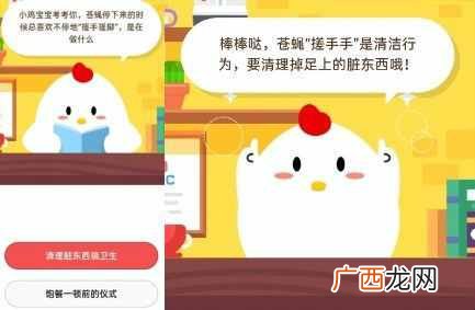 苍蝇停下来的时候为什么总喜欢搓手搓脚？苍蝇搓手搓脚原因6.29今日答