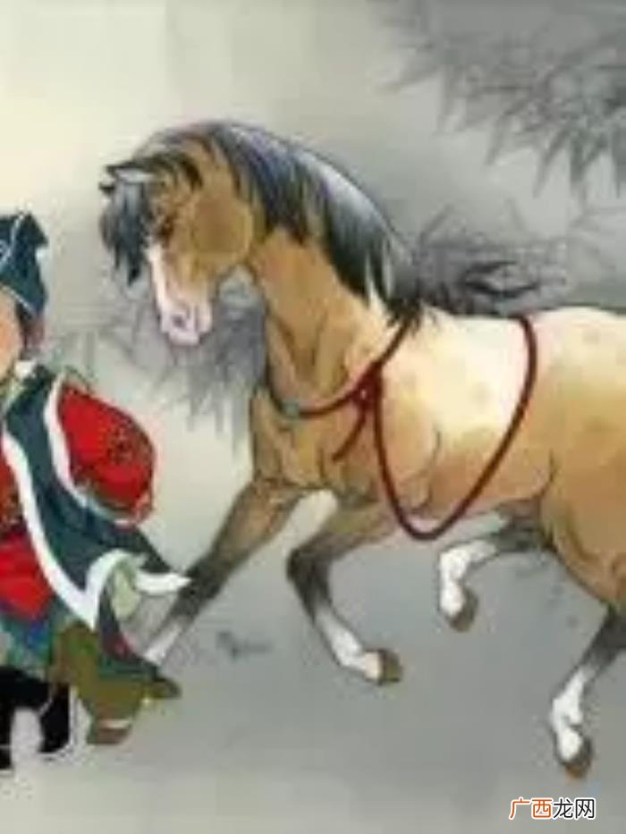 十二生肖如何婚配最好命 见猪见狗谁好命打一肖