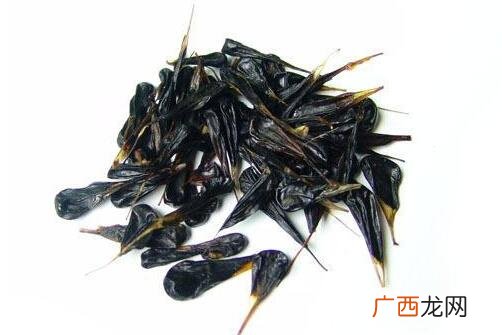蛇胆的功效与作用 蛇胆的药用功效
