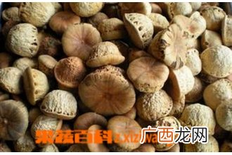 壮阳果泡水喝管用吗 壮阳果泡水喝的功效