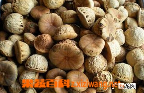 壮阳果泡水喝管用吗 壮阳果泡水喝的功效