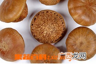 什么是壮阳果 壮阳果的功效与作用