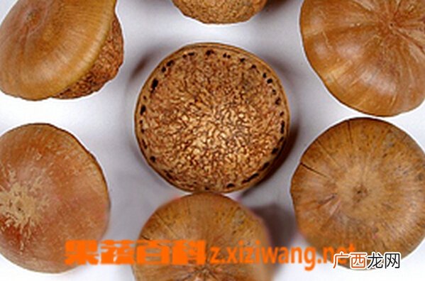什么是壮阳果 壮阳果的功效与作用
