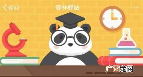 怎样的人容易引起蜜蜂不顾死亡攻击呢？森林驿站7月13日答案