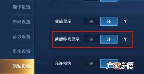 王者荣耀50强怎么弄的？50强和100强设置隐藏方法