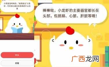 小龙虾的心脏长在身体什么位置？虾头还是虾尾蚂蚁庄园7.9今日答案