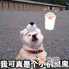 县城开什么加盟店好赚,适合在小县城开的加盟店
