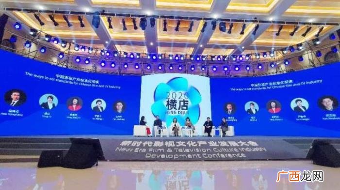 欢娱影视公司老板是谁，欢娱影视CEO杨乐呼吁影视产业标准化