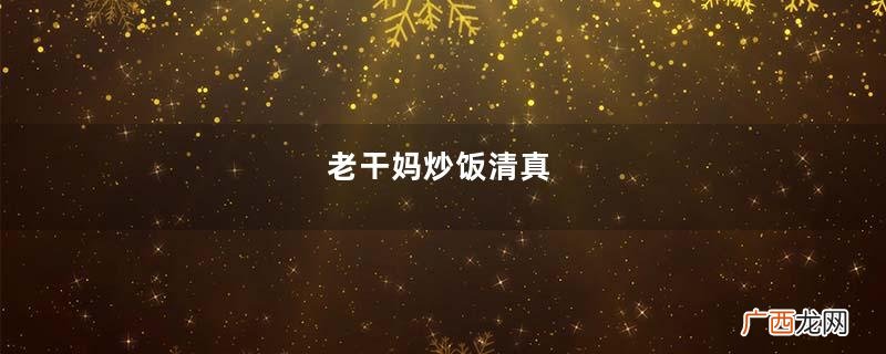 老干妈炒饭清真