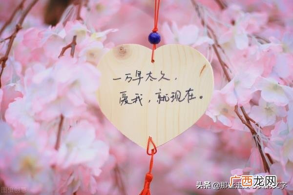 霸气情话短句给男生配图，霸气爱情文案短句
