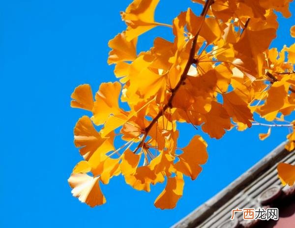 被心爱的女人伤了的伤感句子，感情受伤了发朋友圈的句子