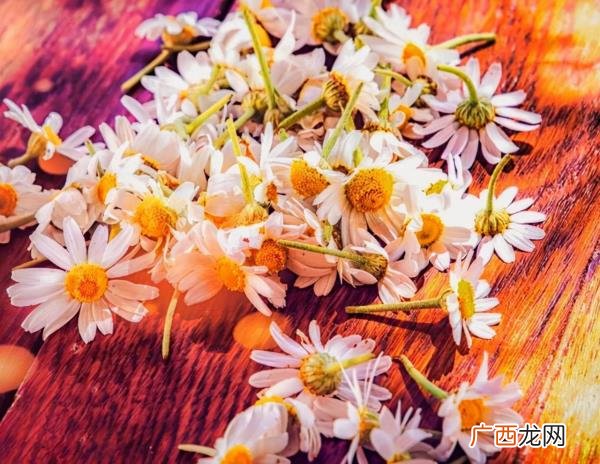 被心爱的女人伤了的伤感句子，感情受伤了发朋友圈的句子