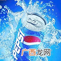 清真 可乐鸡翅